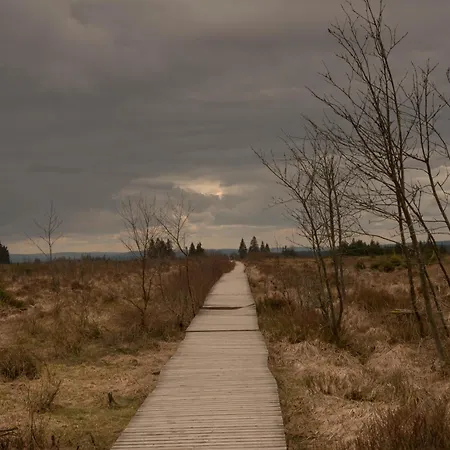 Au Petit Pont De Champagne Gæstehus Waimes